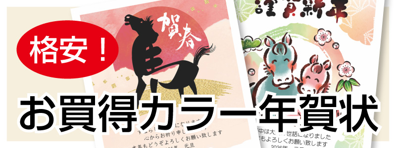 お買得カラー年賀状
