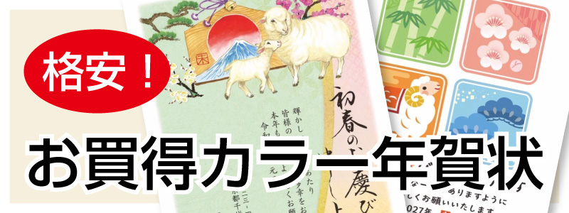 お買得カラー年賀状